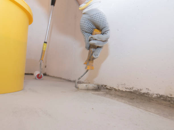 Best Bed Bug Extermination  in Georgetown, IL